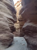IMG_20231006_174313097