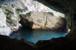 IMG_2627