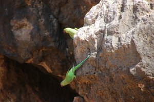IMG_2684