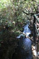 IMG_2686