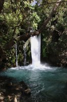 IMG_2692