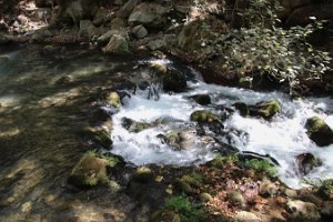 IMG_2694