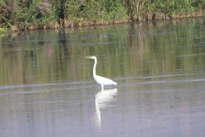 IMG_2734