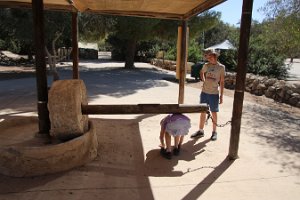 IMG_2755