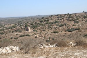 IMG_2762