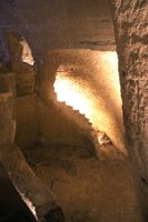IMG_2771