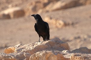 IMG_2842