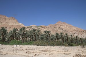 IMG_2863