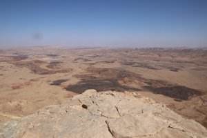 IMG_2865