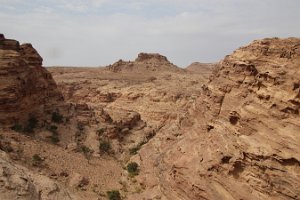 IMG_2914