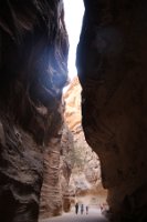 IMG_2961