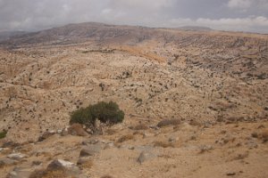 IMG_2965
