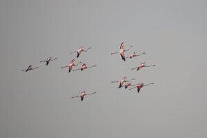 IMG_3044