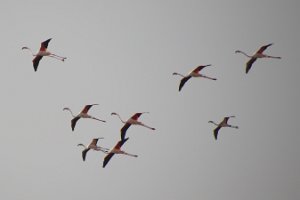 IMG_3048a