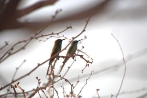 IMG_3076